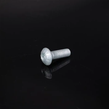 Στρογγυλό κεφάλι με Hex Socket Drive Guard Rail Bolt, HDG